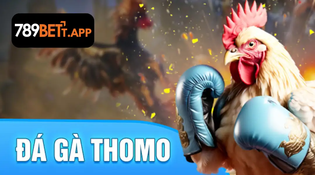 789Bet Đá Gà 9 | 789bett.app Hướng dẫn chi tiết cách chơi đá gà thomo tại 789bet